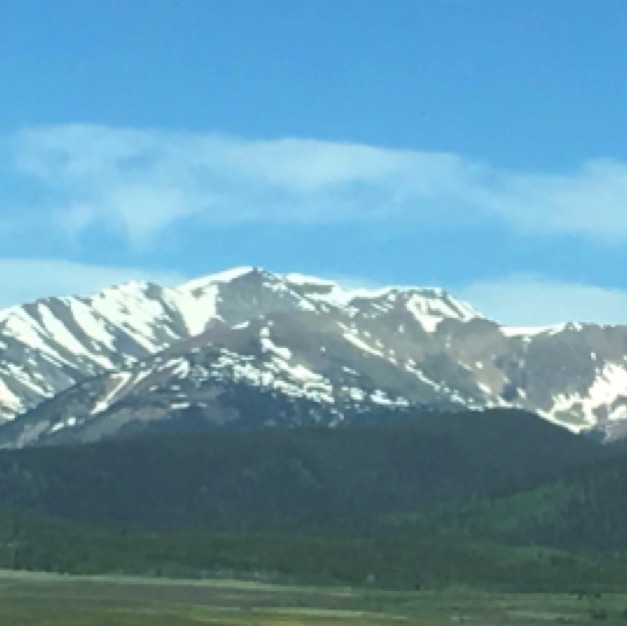 IMG_0318.jpeg IMG_0318.jpeg