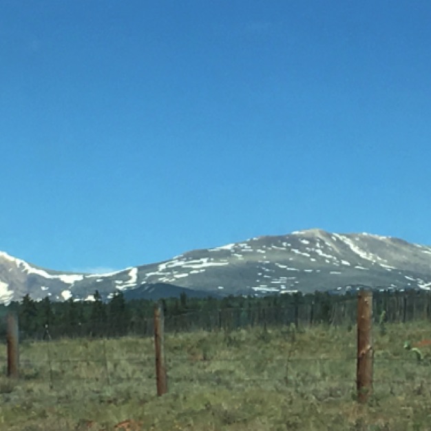 IMG_0324.jpeg IMG_0324.jpeg