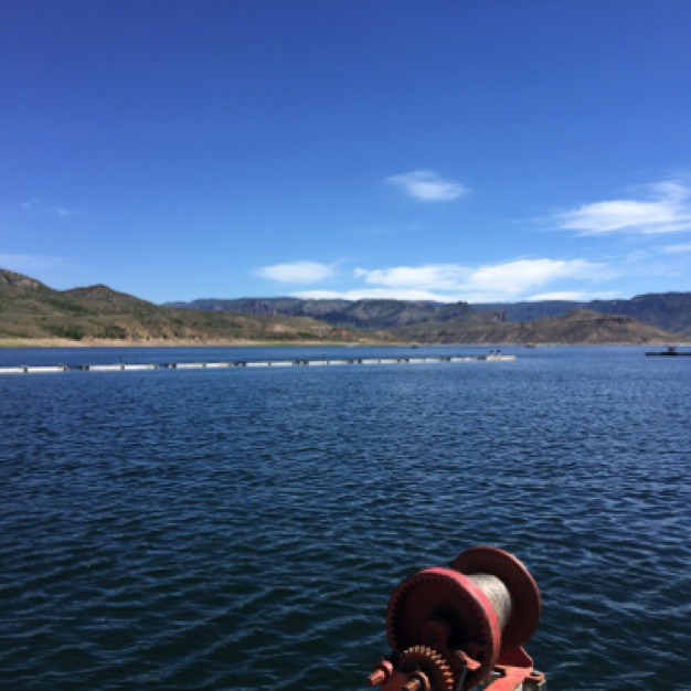 IMG_0401.jpeg IMG_0401.jpeg